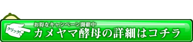 カメヤマ酵母公式サイト